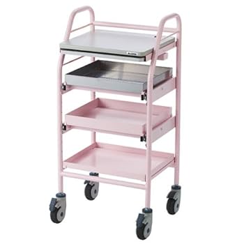 カルテワゴン キャスター付 Amazon.co.jp: ロアス 電子カルテワゴン ピンク RKW-202